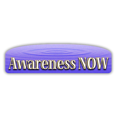 Awareness Now - Small Bumper Sticker | 457