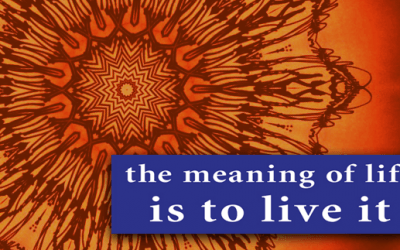 The Meaning Of Life Is To Live It