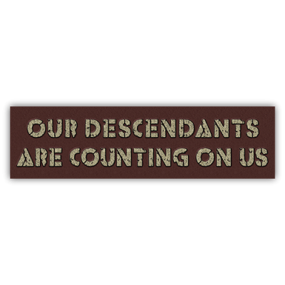Our Descendants are Counting on Us - Small Bumper Sticker | 461