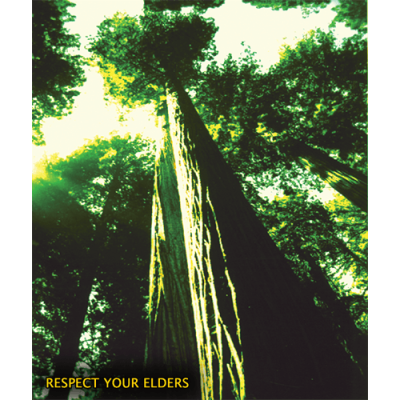 Respect You Elders - Mini Sticker | 375
