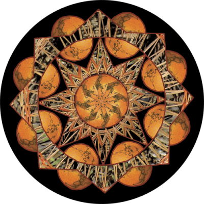 Sacred Orbs - Mini Sticker | 342