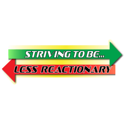 Striving to be Less Reactionary - Small Bumper Sticker | 562