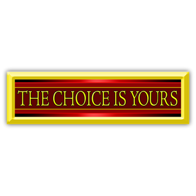 The Choice is Yours - CLEARANCE Small Bumper Sticker | 474