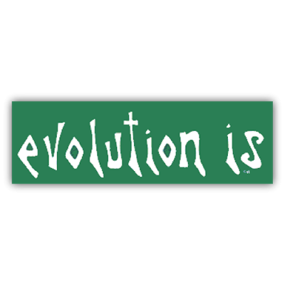 Evolution Is - CLEARANCE Sticker | 089
