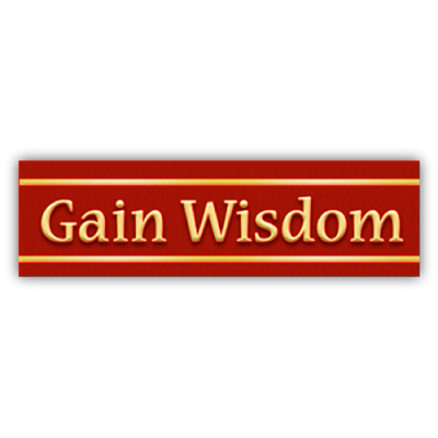 Gain Wisdom - Small Bumper Sticker | 407
