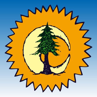 Sun Moon Pine - 16x16 Canvas Print