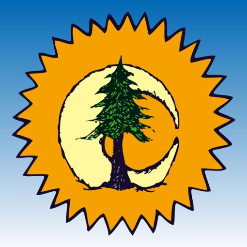 Sun Moon Pine - 16x16 Canvas Print