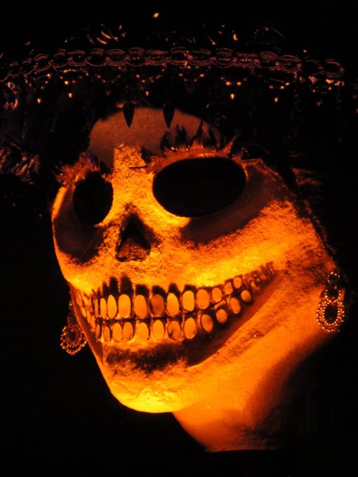 Dead Grin - 8x10 Canvas Print
