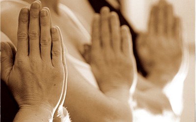 Namaste: Helping Conscious Evolution